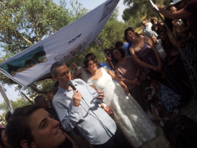 חתונה דורילה.jpg